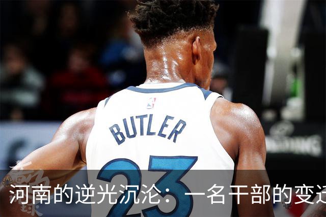 河南的逆光沉沦：一名干部的变迁与教训